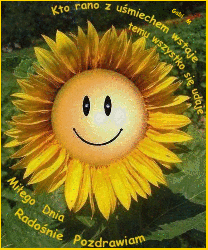 Słonecznik życzy miłego dnia radośnie pozdrawia